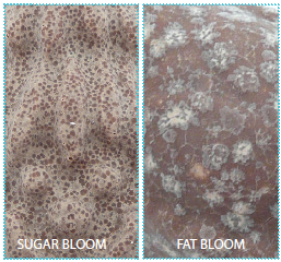 Imagem de chocolate sugra bloom x fat bloom